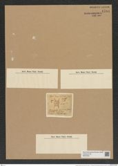 Hemiaulus exiguus Grev. (de-Toni-Nr.: Genus 117, Species 3372) Zeichnungen Sammlung Grunow Nr. 6784 (NHMW-BOT-W0375621)